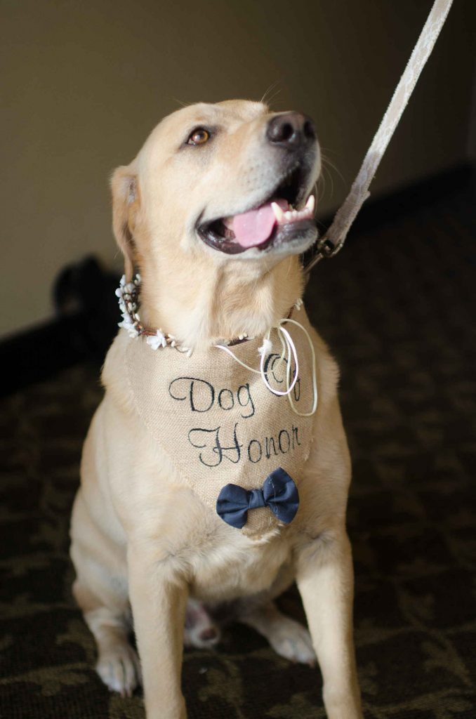 Dapper_Events_by_Lizzy_Liz_wedding_planning_orange_county_CTL_Mai_Liam_wedding_2_4-2 Dapper_Events_by_Lizzy_Liz_wedding_planning_orange_county_CTL_Mai_Liam_wedding_2_4-2